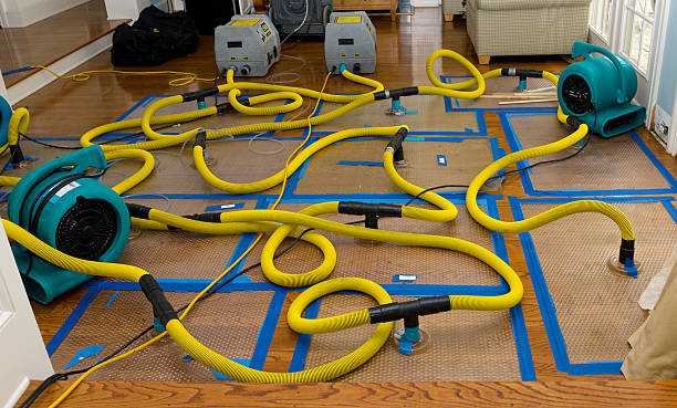 Professional Crawl Space Water Removal technician working in Westwood, MA